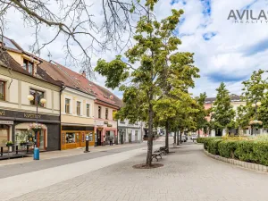 Prodej vícegeneračního domu, Benešov, Masarykovo náměstí, 256 m2