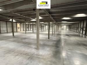 Pronájem výrobních prostor, Kozomín, 8204 m2