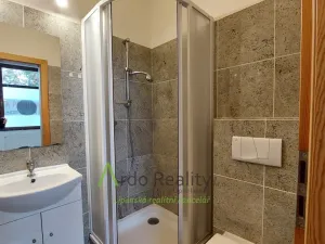 Pronájem komerční nemovitosti, Lipno nad Vltavou, 62 m2