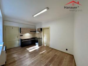 Pronájem bytu 1+1, Děčín - Děčín I-Děčín, Tyršova, 55 m2