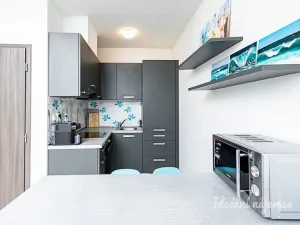 Pronájem bytu 2+kk, Praha - Nové Město, Sokolská, 49 m2