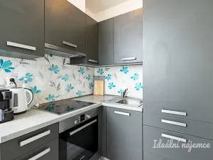 Pronájem bytu 2+kk, Praha - Nové Město, Sokolská, 49 m2