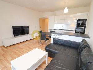 Pronájem bytu 2+kk, Plzeň - Bolevec, U Velkého rybníka, 57 m2