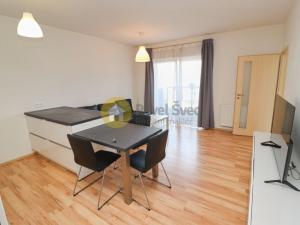 Pronájem bytu 2+kk, Plzeň - Bolevec, U Velkého rybníka, 57 m2