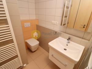 Pronájem bytu 2+kk, Plzeň - Bolevec, U Velkého rybníka, 57 m2
