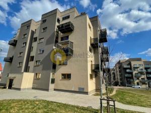 Pronájem bytu 2+kk, Plzeň - Bolevec, U Velkého rybníka, 57 m2