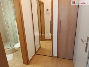 Pronájem bytu 1+kk, Praha - Horní Počernice, Ve žlíbku, 37 m2