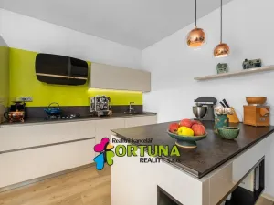 Prodej rodinného domu, Úsilné, 159 m2