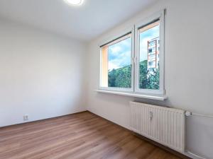 Pronájem bytu 3+1, Ústí nad Labem, Kmochova, 65 m2