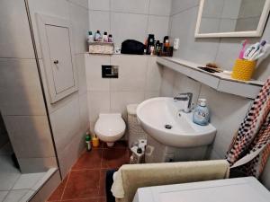 Pronájem bytu 1+1, Olomouc - Holice, U cukrovaru, 32 m2
