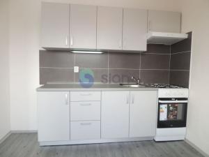 Pronájem bytu 1+1, Ostrava - Zábřeh, Pavlovova, 38 m2