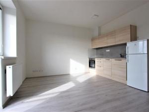 Pronájem bytu 1+kk, Brno - Žebětín, Lišejníková, 34 m2