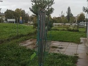 Prodej bytu 3+kk, Milovice, Armádní, 61 m2