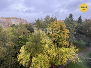 Pronájem bytu 3+1, Ostrava, Alžírská, 64 m2