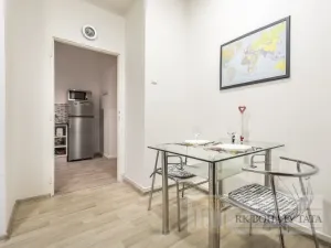 Pronájem bytu 2+1, Praha - Vinohrady, Kolínská, 54 m2