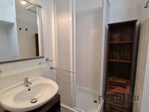 Pronájem bytu 1+1, Opava - Kateřinky, Holasická, 35 m2