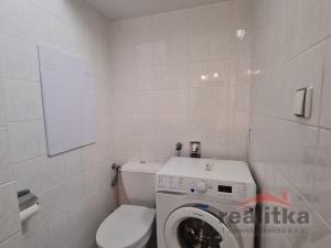 Pronájem bytu 1+1, Opava - Kateřinky, Holasická, 35 m2