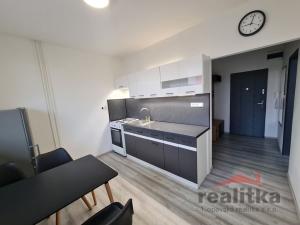Pronájem bytu 1+1, Opava - Kateřinky, Holasická, 35 m2