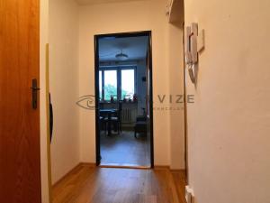 Pronájem bytu 1+1, České Budějovice, Mánesova, 57 m2
