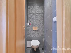 Pronájem bytu 2+1, Brno - Staré Brno, Zahradnická, 79 m2