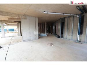 Pronájem obchodního prostoru, Praha, Štúrova, 115 m2