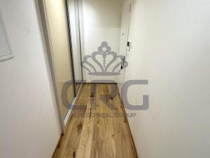 Pronájem bytu 3+kk, Brno - Staré Brno, Hlinky, 90 m2