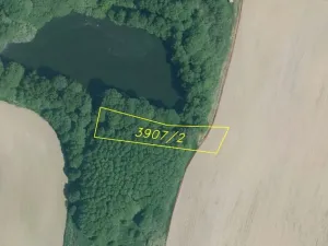 Dražba pozemku, Trstěnice, 1109 m2