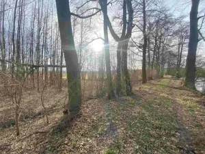 Dražba pozemku, Trstěnice, 1109 m2