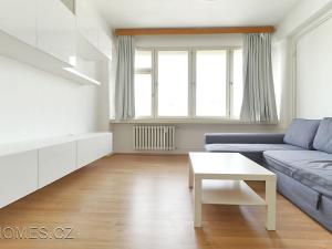Pronájem bytu 1+1, Praha - Nové Město, Opletalova, 35 m2