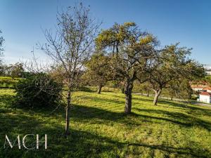 Prodej pozemku, Pitín, 1356 m2