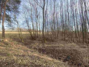 Prodej pozemku, Trstěnice, 1109 m2