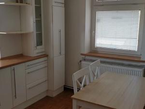 Pronájem bytu 2+1, Teplice, Čs. dobrovolců, 84 m2