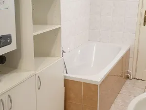 Pronájem bytu 2+1, Teplice, Čs. dobrovolců, 84 m2