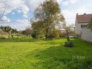 Prodej pozemku pro bydlení, Těmice, 40 m2