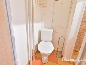 Pronájem bytu 1+kk, Brno, Haškova, 27 m2