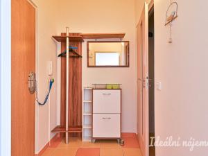Pronájem bytu 1+kk, Brno, Haškova, 27 m2