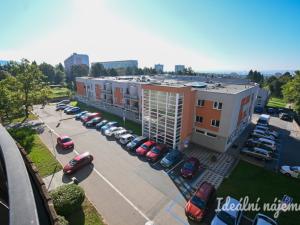 Pronájem bytu 1+kk, Brno, Haškova, 27 m2