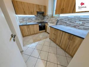 Pronájem bytu 3+kk, Děčín, Horská, 81 m2