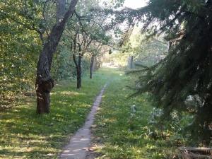 Prodej zahrady, Hulín, 2035 m2