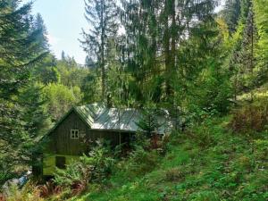 Prodej chalupy, Jablonec nad Jizerou - Dolní Dušnice, 131 m2