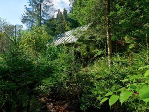 Prodej chalupy, Jablonec nad Jizerou - Dolní Dušnice, 131 m2