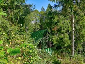 Prodej chalupy, Jablonec nad Jizerou - Dolní Dušnice, 131 m2