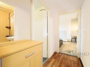 Prodej bytu 2+kk, České Budějovice - České Budějovice 2, M. Chlajna, 40 m2