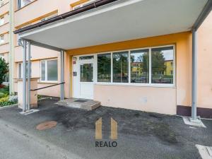 Prodej bytu 1+1, Slaný, Vítězná, 44 m2
