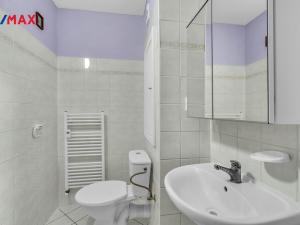 Prodej bytu 1+1, Milovice - Mladá, Braniborská, 29 m2
