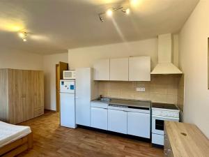 Pronájem bytu 1+kk, Cheb, Jakubská, 25 m2