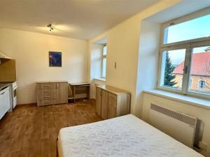 Pronájem bytu 1+kk, Cheb, Jakubská, 25 m2