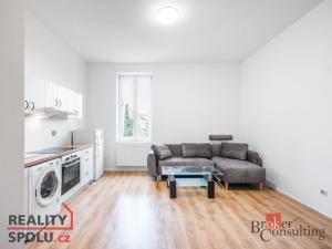 Pronájem bytu 1+kk, Ostrava - Vítkovice, Erbenova, 29 m2