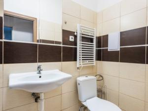 Pronájem bytu 1+kk, Ostrava - Vítkovice, Erbenova, 29 m2