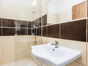 Pronájem bytu 1+kk, Ostrava - Vítkovice, Erbenova, 29 m2
